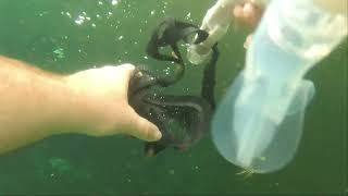 Part 2 of Ginnie Springs! by L A Cacciato #The Adventures Awaits! 20 views 9 days ago 4 minutes, 33 seconds