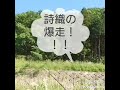 詩織の爆走!!!