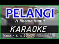 Pelangi  rhoma irama  karaoke dangdut cover pa800