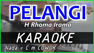 PELANGI - Rhoma irama - KARAOKE DANGDUT COVER Pa800