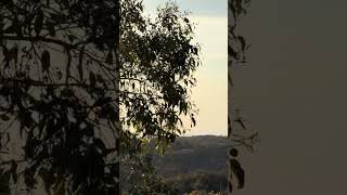 Open2view AU - ID# 1001828 - 361B Marble Hill Road