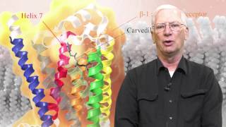 Honors Computational Medicinal Chemistry screenshot 2