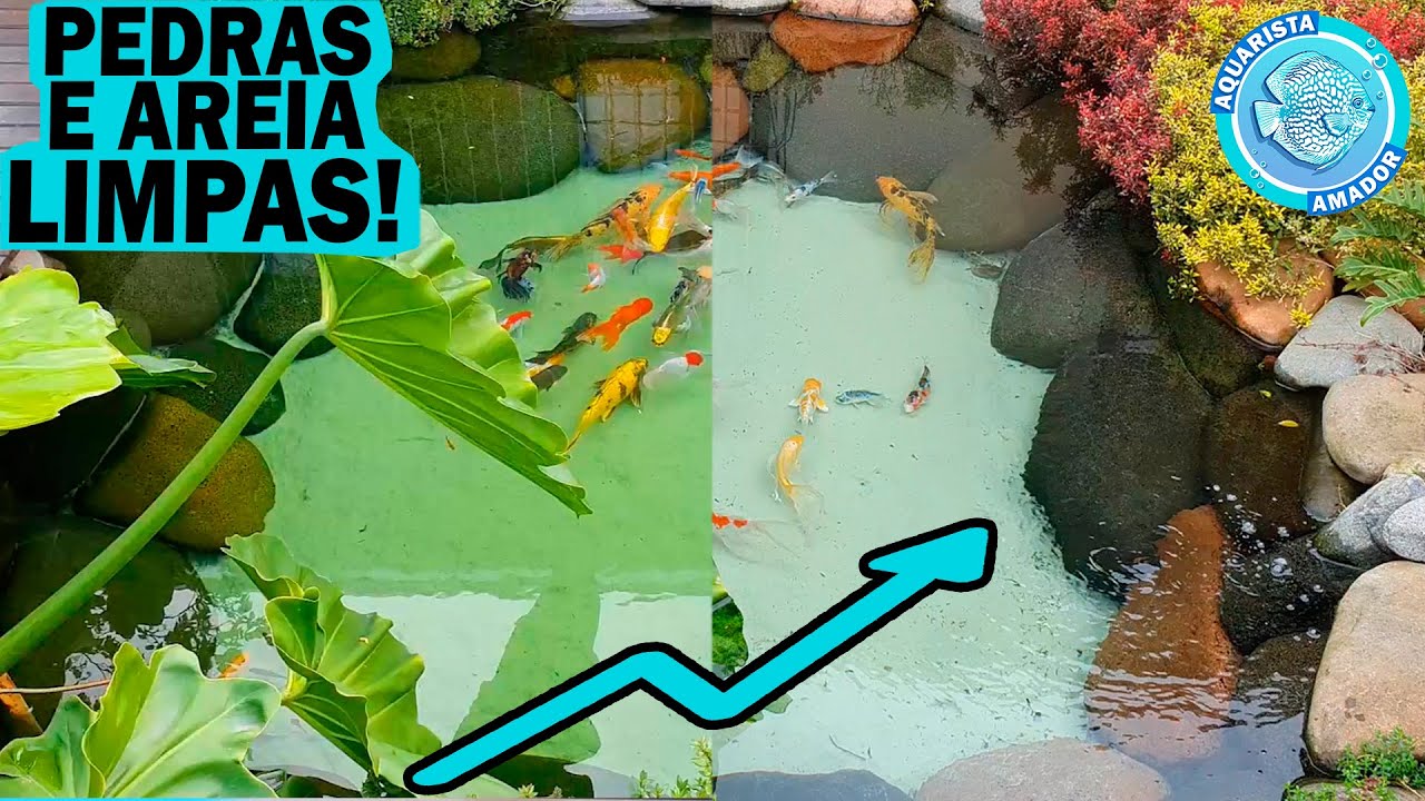 Como limpar AREIA VERDE DO LAGO sem remover - PRODUTOS BIOLÓGICOS transformaram meu lago