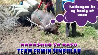 Ep. 52, BUHAY BUKID karyada team erwin simbulan.