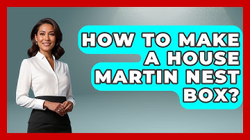 How To Make A House Martin Nest Box? - Bird Watching Diaries