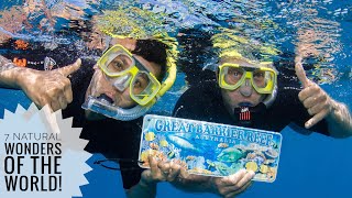 Great Barrier Reef Vlog 2020 + Tips