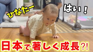 【生後10ヶ月】日本に来てからの娘の成長に外国人家族も驚き‥母乳以外、全く食べなかった食事もパクパク食べる！