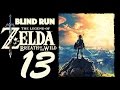 Breath of the Wild (BLIND) Shrine 2 Cryonis Trial - Part 13