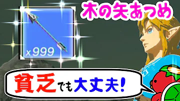 ゼルダ ブレワイ 古代 無限 ゼルダ ブレワイ 古代 無限