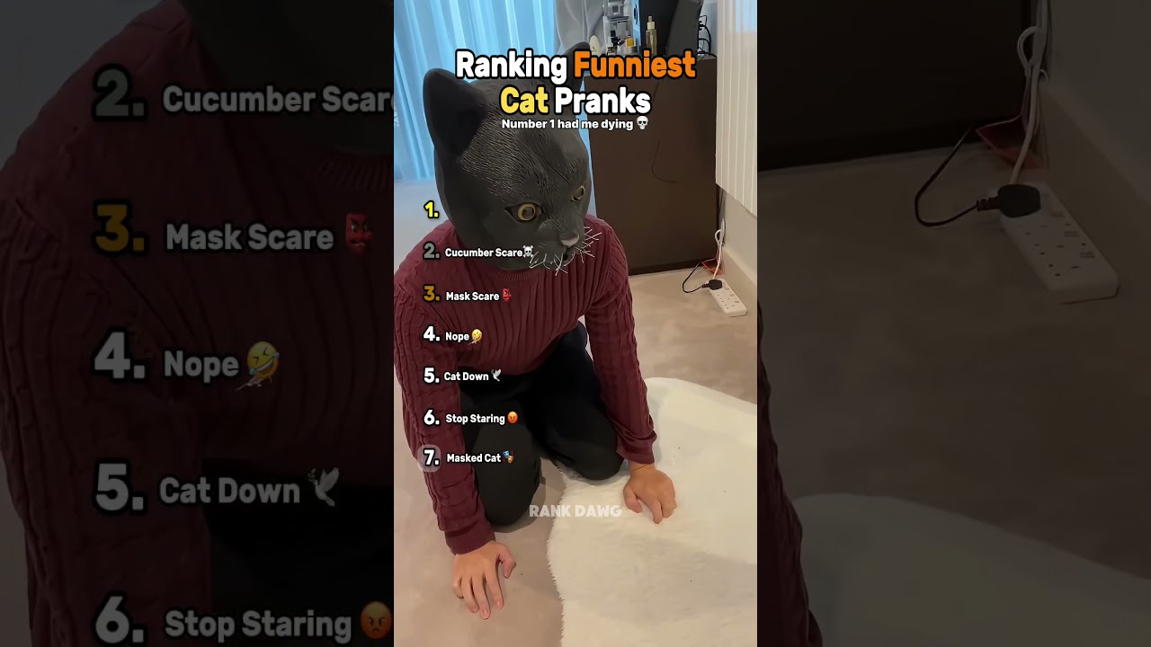 Ranking Funniest Cat Pranks😭