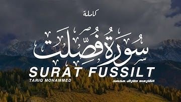 سورة فصلت كاملة القارىء طارق محمد | SURAT FUSSLIT FULL TARIQ MOHAMMED