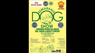 [DOG SHOW] 20191027 Semarang Dog Show 2019 BEST IN SHOW 2nd Day.