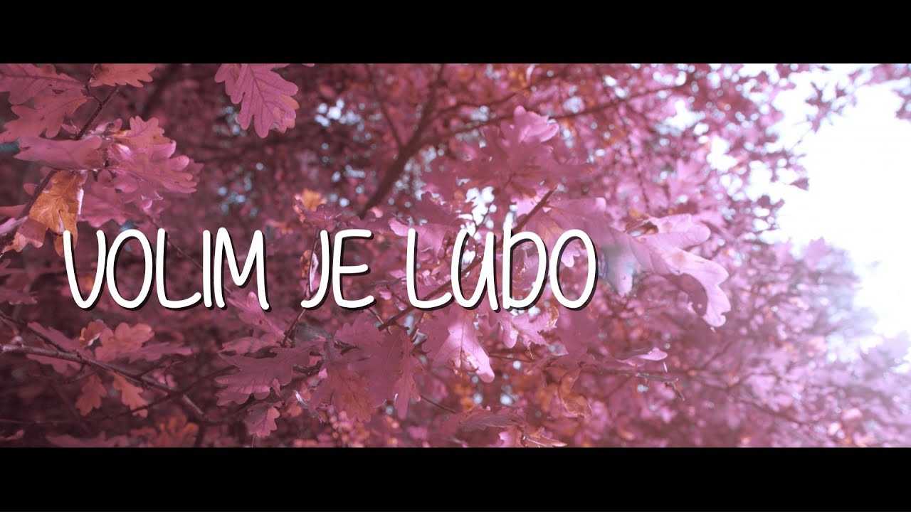 Oliver Dragojevi Volim Je Ludo Official Lyric Video YouTube oliver-dragojevi-volim-je-ludo-official-lyric-video-youtube