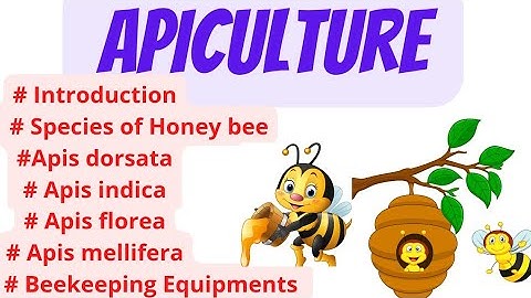 APICULTURE ( Bee keeping) Explanation in hindi and english and hand written notes.#Apiculture
