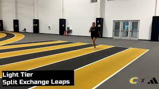 Light Tier - Split Exchange Leaps