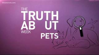The Truth About Pets: Organic Pet Food screenshot 2