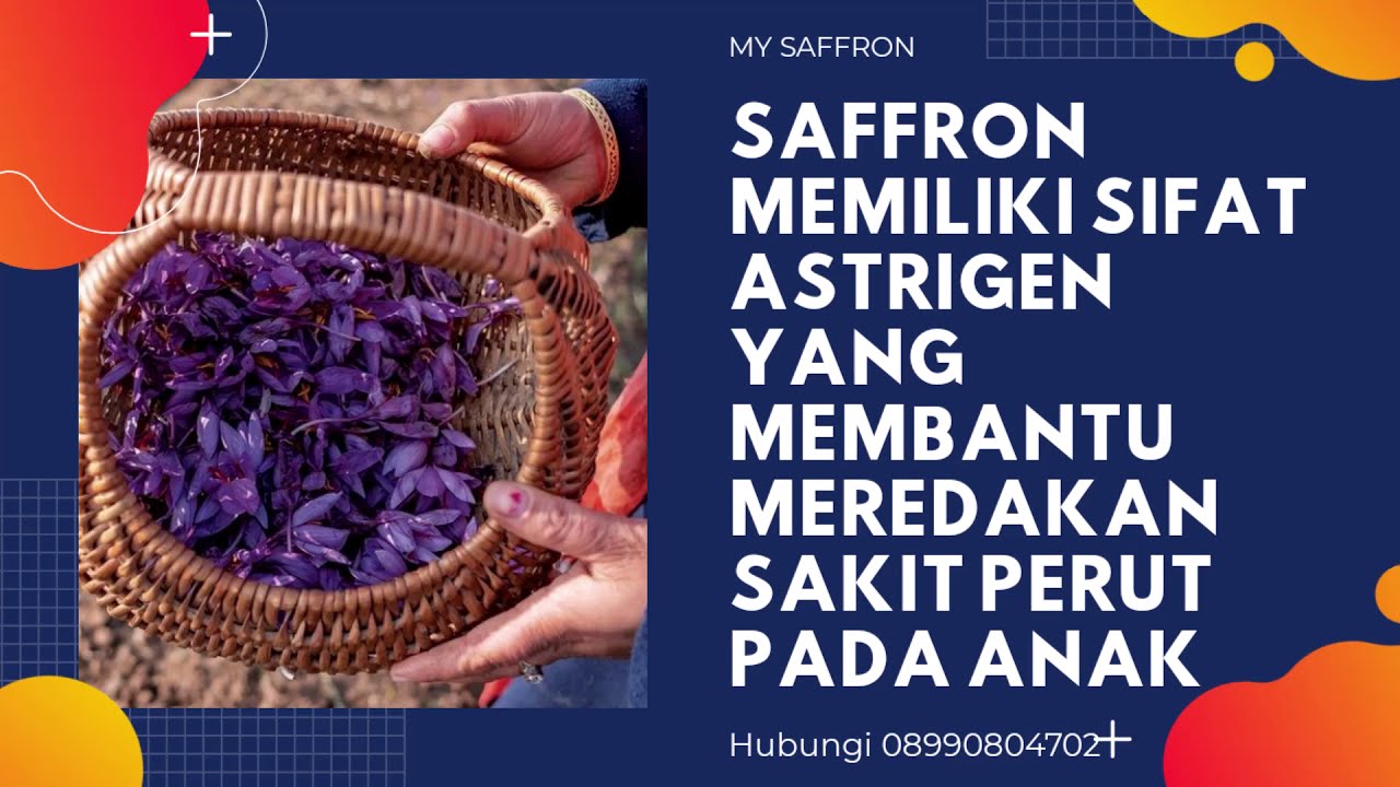 Saffron jakarta WA 08990804702 YouTube
