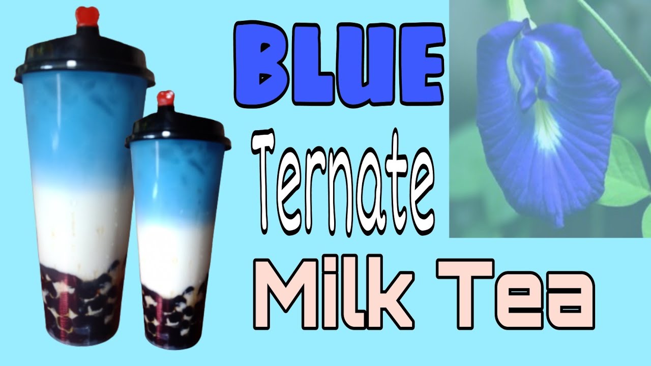 How to Make Blue Ternate Milk Tea | Butterfly Pea Milk Tea - YouTube