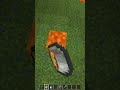 Only Minecraft OGs know what I was gonna do... Can you guess what I tried to make #minecraft #shorts