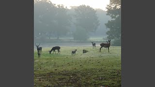 Soft Wine screenshot 5