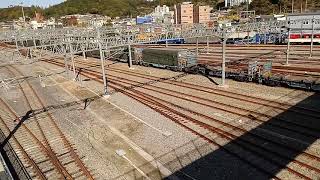 디젤기관차 7477호 견인 보성행 S-Train #4871 열차