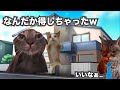 5千万円の住宅ローンがチャラになった客【団信】【地方銀行】#猫ミーム