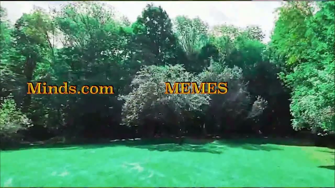 Mind the MEMES 2 Minutes of Recent MEMES to Dope Beats