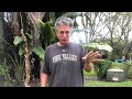 Backyard Golf Lessons Simple and Easy way to Improve Your Ball Striking with your Smart Phone!