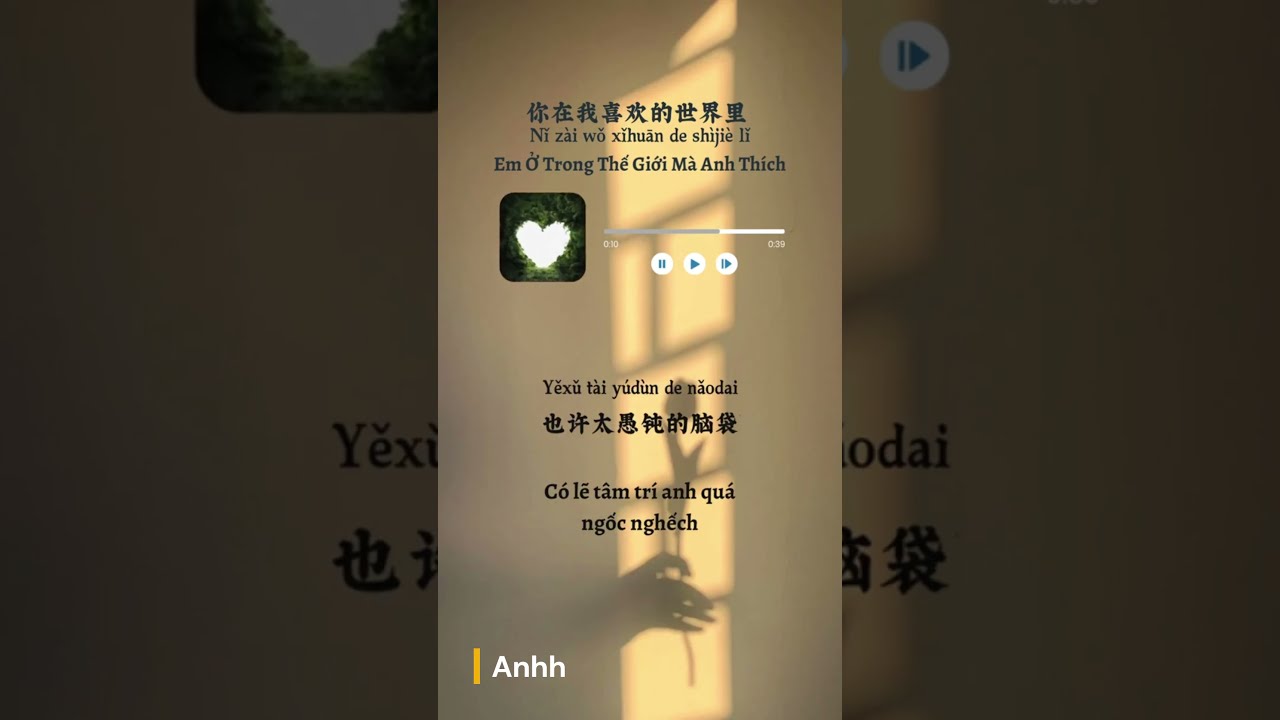 Song: Em Ở Trong Thế Giới Mà Anh Thích ( 你在我喜欢的世界里 )