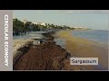 Sargassum: from problem to solution (Subtitles available NL + ENG)