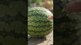 🍉 Watermelon Crush ASMR 😍💦 So Satisfying! #Shorts