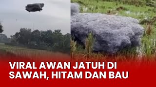 Viral ‘Awan Jatuh’ di Sawah dan Pemukiman Warga, Hitam dan Bau