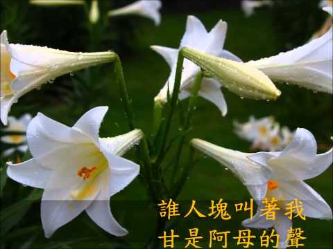 Ben翻唱 花香 原唱江蕙
