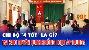 Xây dựng “chi bộ bốn tốt”, “đảng bộ cơ sở bốn tốt" bảo đảm thiết thực, hiệu quả