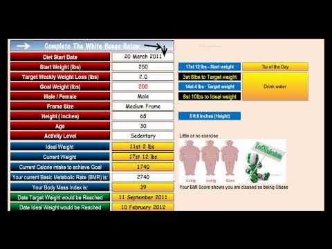 Free Diet Weight Loss Excel Spreadsheet Youtube