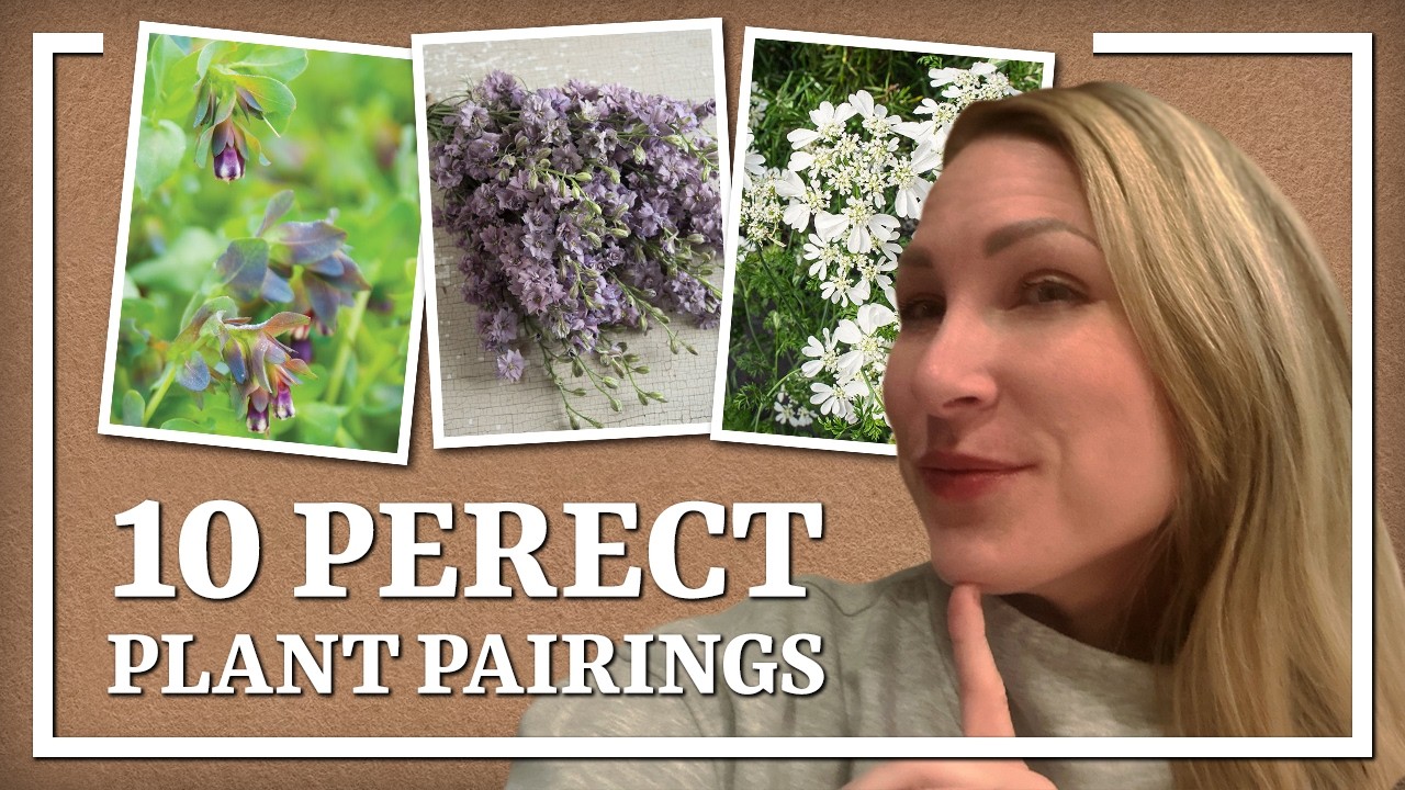 Struggling with plant pairings?... I got you!  10 pairings perfect for containers or landscape 🌷