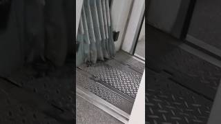 Never Sit In A Train Again | Train Live