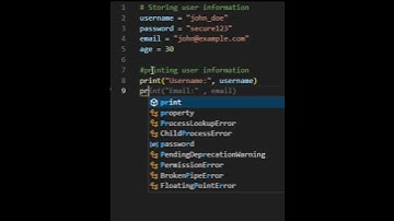 Storing User Information in Python: A Beginner