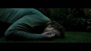 Harry Potter - Endo - Simple Lies