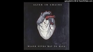 Alice In Chains - Take Her Out