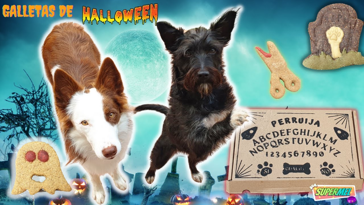 Galletas MISTERIOSAS de HALLOWEEN / Las escondo Mel y Lana las tienen que encontrar.