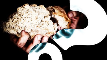 Burnt Bread the Toast of Physics | HowStuffWorks NOW