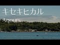 【ラブライブ！サンシャイン!!】「キセキヒカル」アコギアレンジ（short）