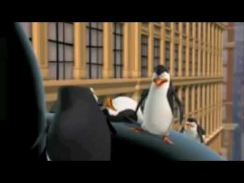 The Trashpenguins.m4v