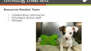 APA! Parvo Program - Apprenticeship