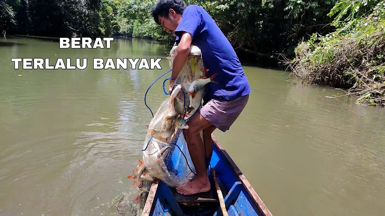 AKHIRNYA JALA IKAN LAGI, LANGSUNG DIKASIH GEROMBOLAN IKAN 😱‼️