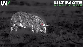 Hunter Sneaks within Feet of Wild Boar | Insanely Clear Night Footage