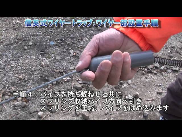 マンガ約束のネバーランド ９ を読んでwhyと思ったことについて その２ 集英社のマンガを読んで友情 努力 勝利と雑学を学ぶ