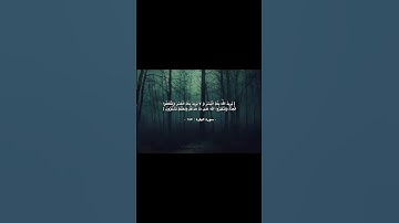 اجر لي ولكم #اللهم_صل_على_محمد_وال_محمد #تلاوة #قرآن