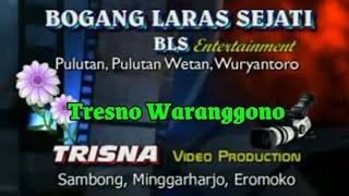 TRESNO WARANGGONO - Sity Zidan ft. Bogang BLS - BLS Entertainment